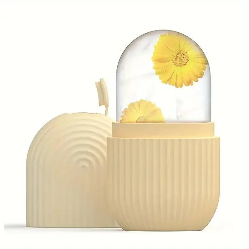 Silicone Ice Roller Face Massage Trays